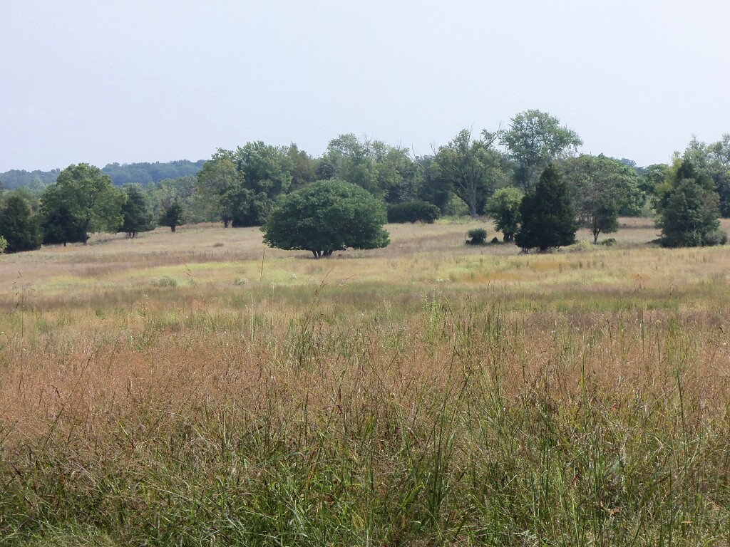 Orange explains it all Stuart's Signal Hill trail part two