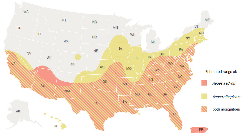 Ideal conditions for mosquitoes that can carry the Zika virus