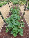 The Best Trellis Designs #Organic_Gardening