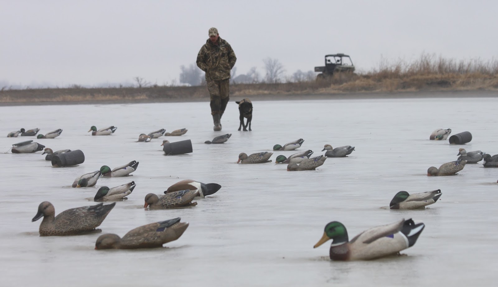 Lowcountry outdoors 2018 Duck Hunt in Frozen Bootheel of Missouri