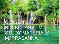 CLASS 12 BIO-BOTANY TM MATERIALS - M. PRASANNA. M.A., (H.R), M.A., (TAM), M.A., (EDU), M.SC., (PSY), M.SC., M. PHIL., B.ED., PG ASSISTANT IN BOTANY