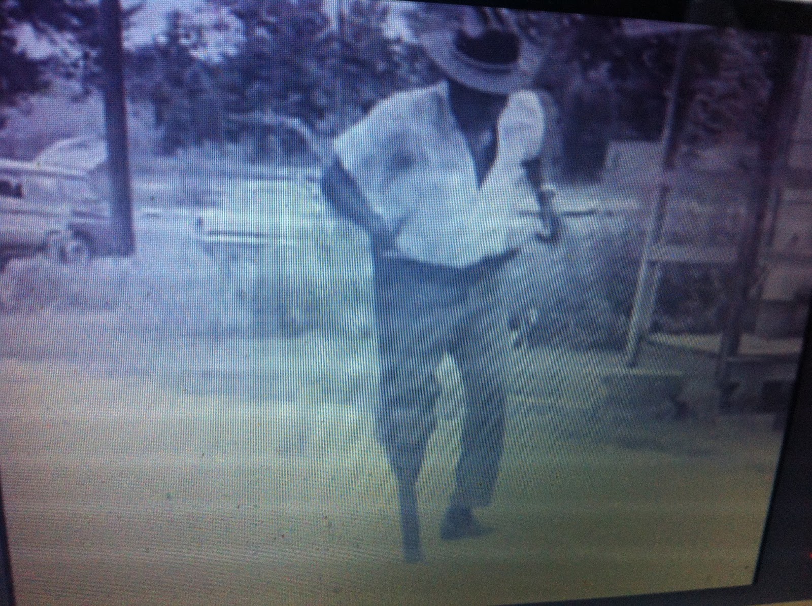 THE BLACK SOCIAL HISTORY BLACK SOCIAL HISTORY AFRICAN AMERICAN