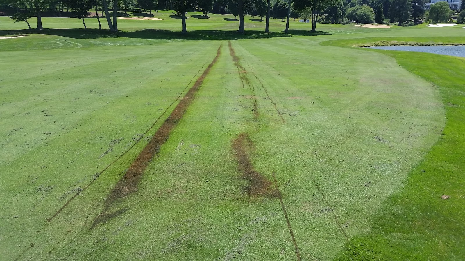 Kenmure Golf Maintenance Hydraulic Fluid Spill