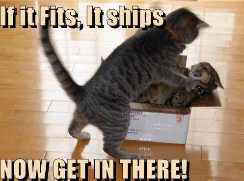 If It Fits, It Ships - Now Get In There - Funny Cats