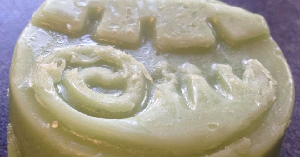 All Things Lush UK Jungle Solid Conditioner