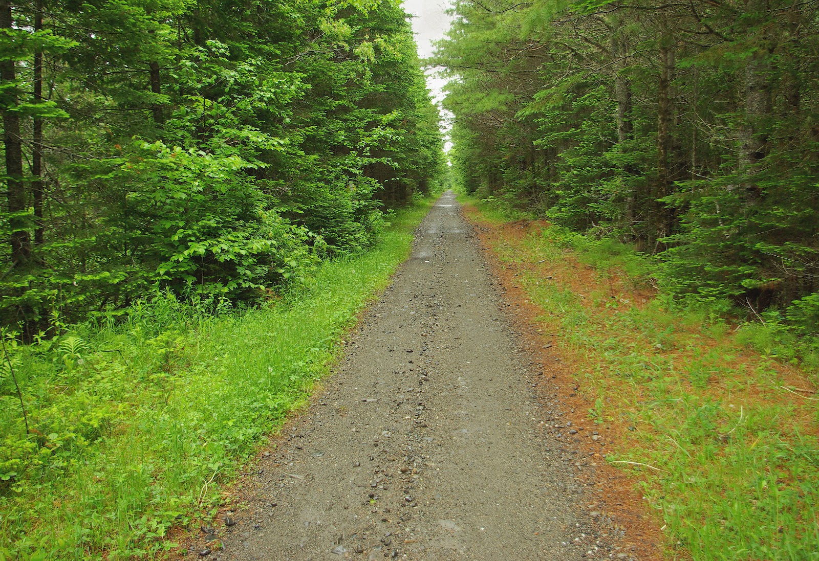 Hiking in Maine with Kelley 6/8/12 Lagrange Rail Trail