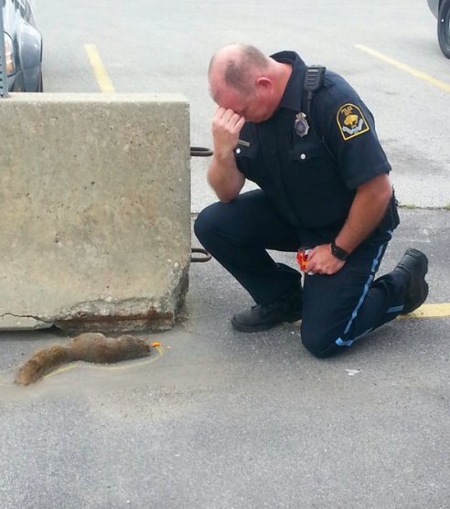 Policemen%2Bin%2BOmaha%2Bmourn%2Ba%2Bsquirrel%2Bthat%2Bwas%2Btheir%2Bmascot%2B1.jpg