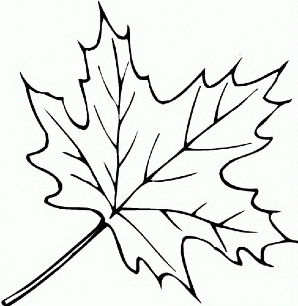 Fall Leaves Coloring Pages 2016 Fall Leaves Coloring Pages 2016