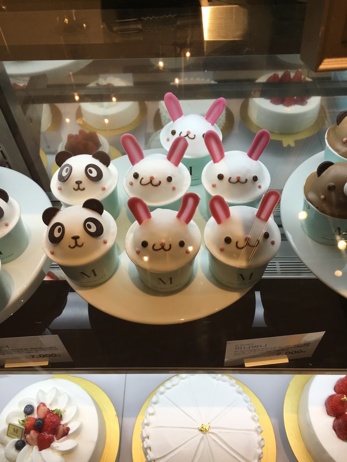 The Menagerie Cupcakes Seoul, South Korea Travel is my favorite Sport