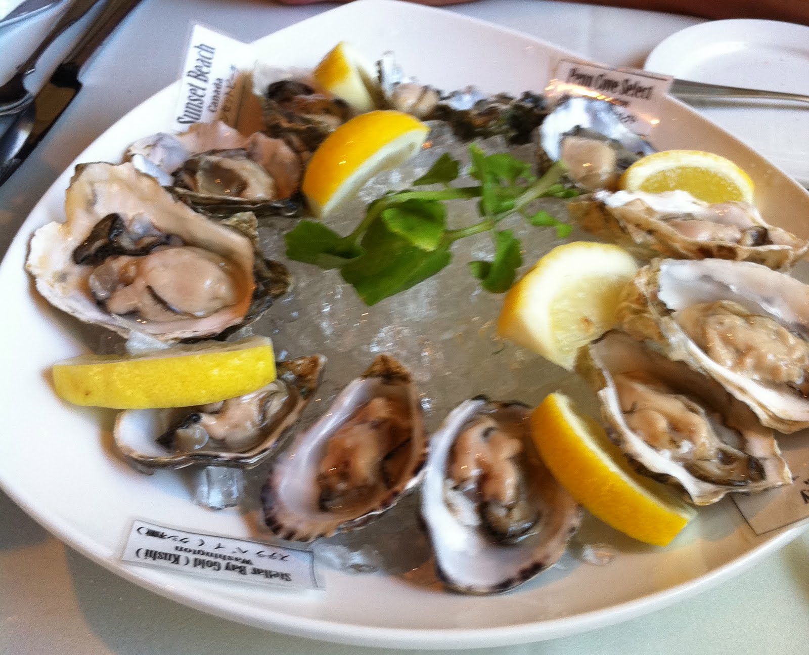 GREAT EATS HAWAII BROADWAY SEAFOOD AND OYSTER BAR