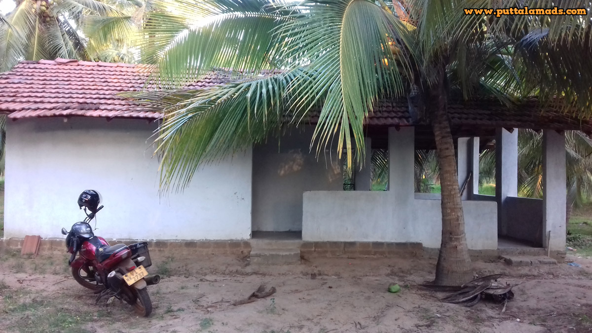 10 Acres Coconut Land in Attawillu (SOLD) Real Estate and Land