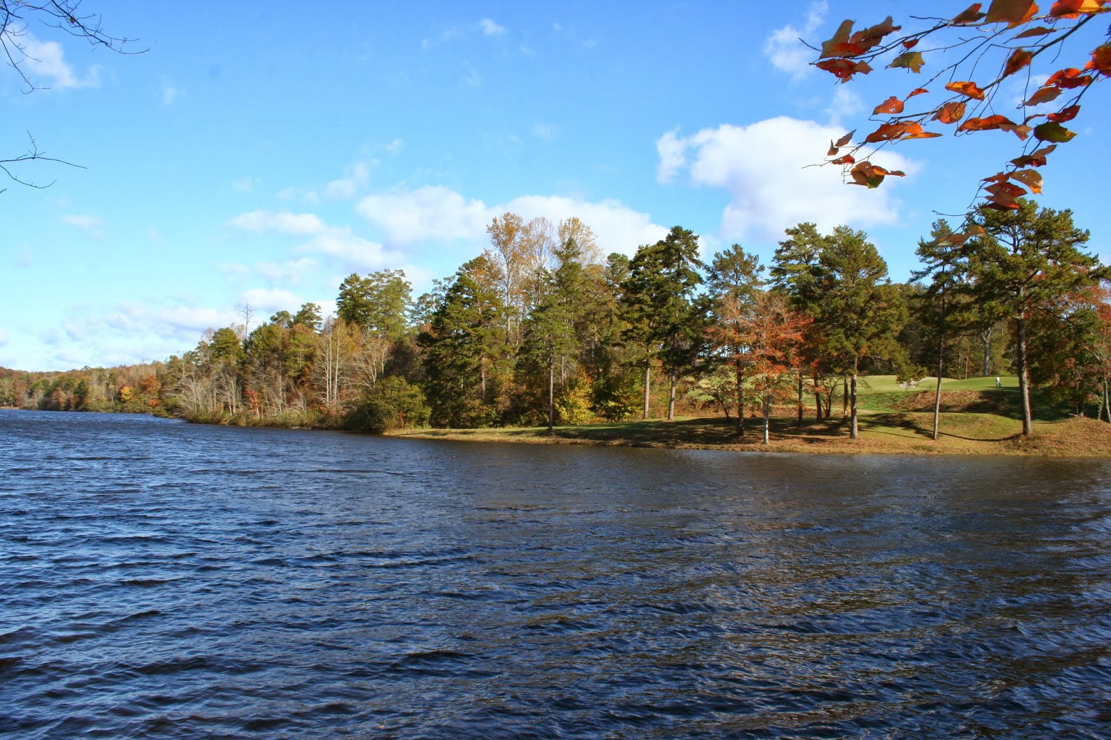 Inside Gainesville Real Estate Lake Knickerbocker Gainesville