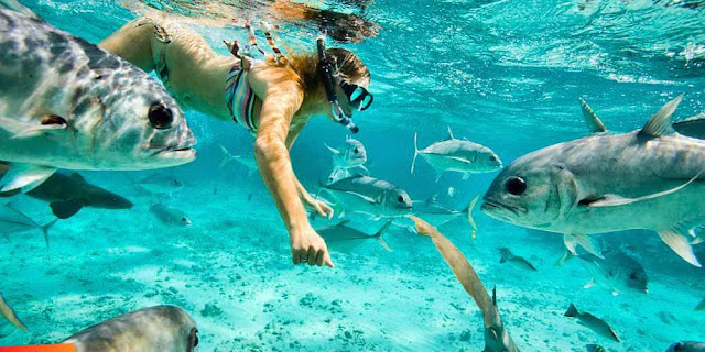 Belize scuba diving