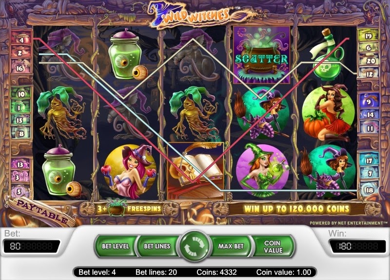 Wild Witches Video Slot Screen