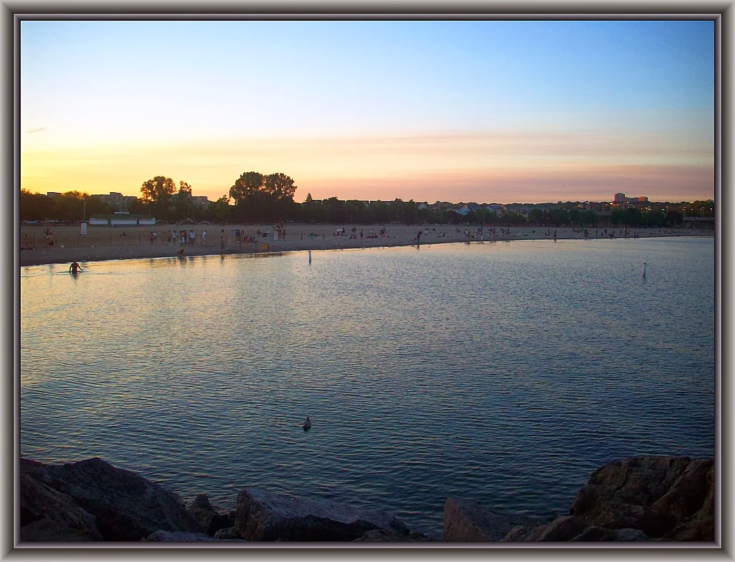 Mishy's Corner of the World Ashbridges Bay Park