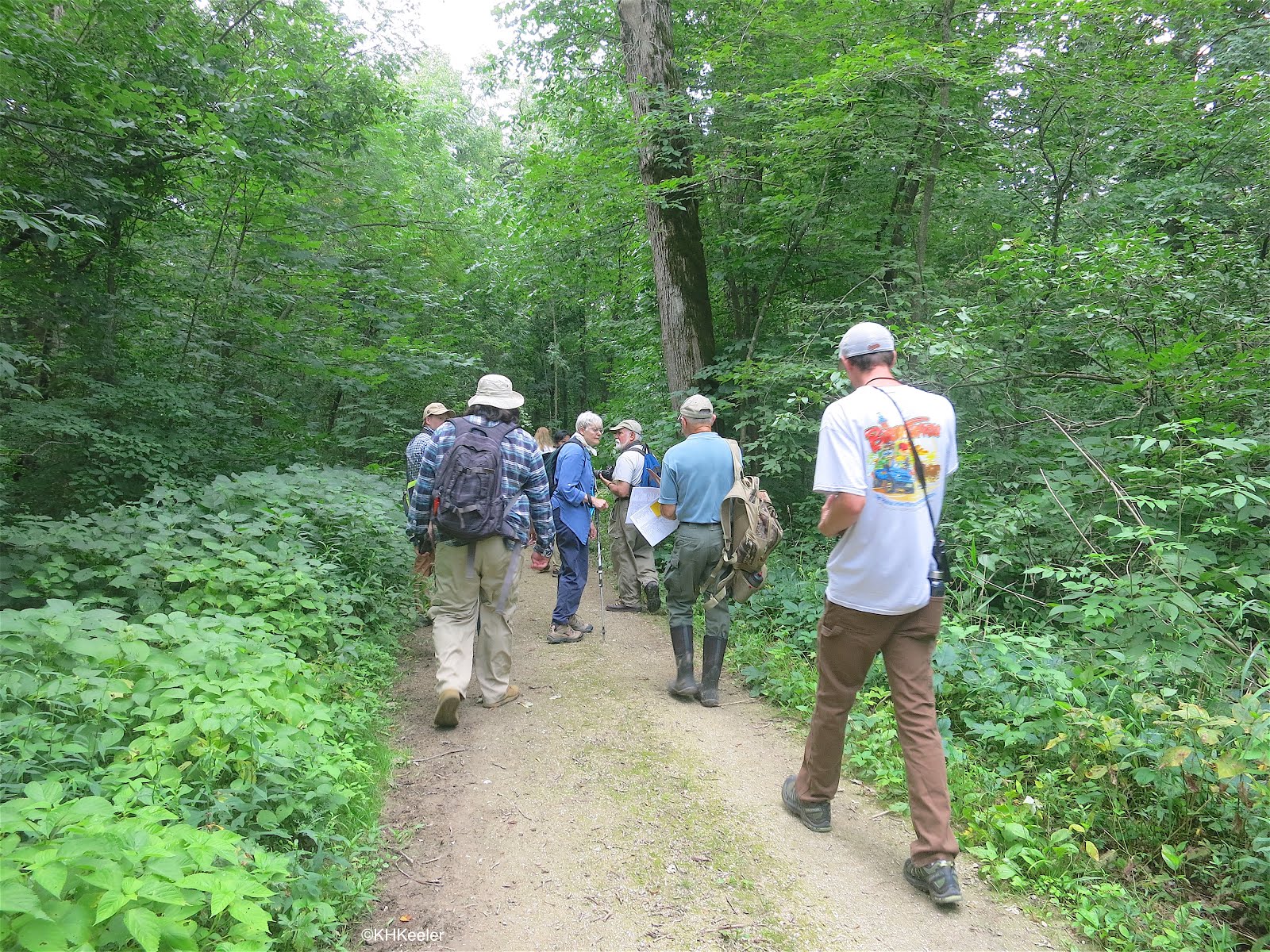 A Wandering Botanist Visiting MinnesotaLovely Forestville State Park