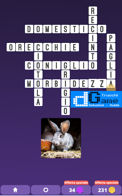 Soluzioni One Clue Crossword livello 17 schemi 8 (Cruciverba illustrato)  | Parole e foto