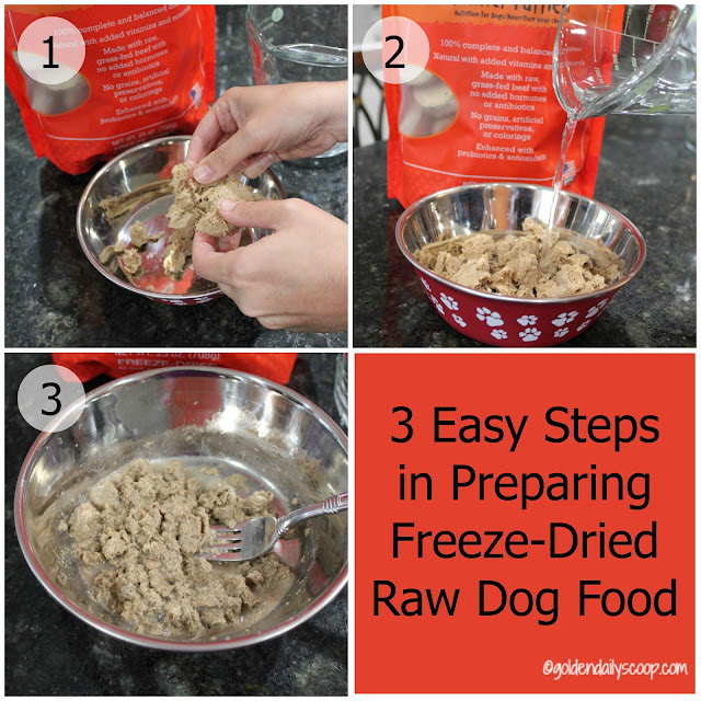 Stella and Chewys freeze dried raw dog food review