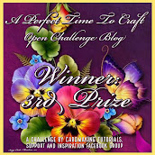 3rd Prize Winner Badge