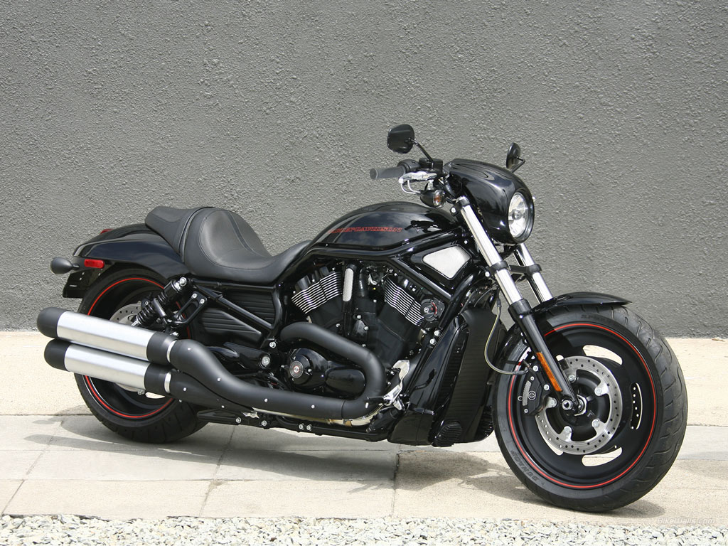 Automobile Trendz: Harley Davidson V-Rod