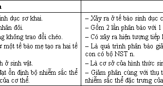 Zellzyklus, Mitose und Meiose