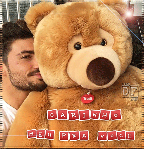 carinho-com-urso.gif