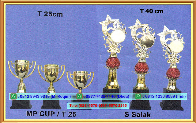 Jual Piala Batam, Toko Piala Murah Batam, Harga Piala Batam, Jual Piala Batam, Jual Trophy Batam, Harga Trophy Batam, Piala Murah Batam, Trophy Murah ...