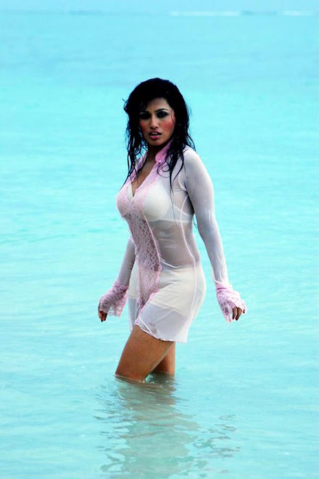 aarthi puri in water actress pics