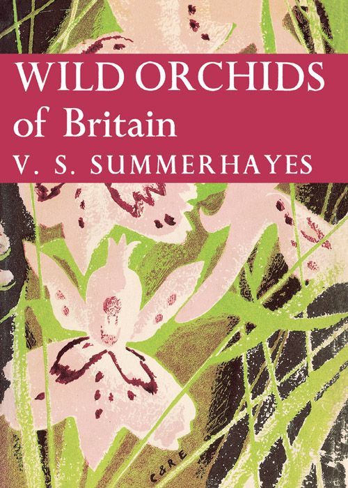 Wild Orchids of Britain