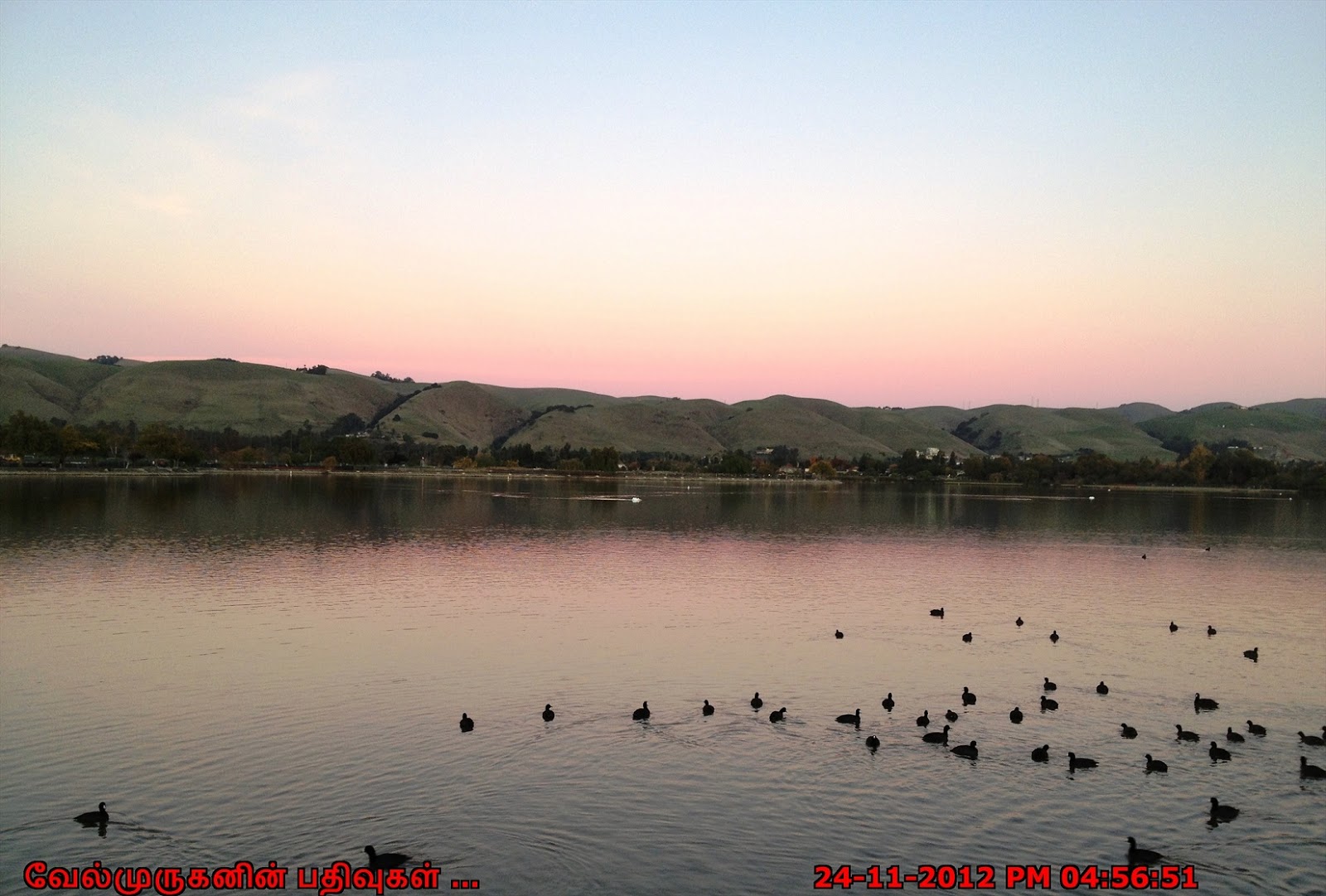 Lake Elizabeth Central Park Exploring My Life