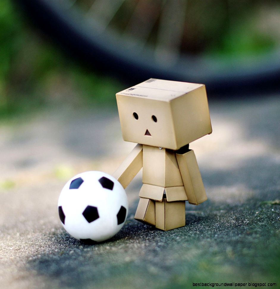 Danbo Robot
