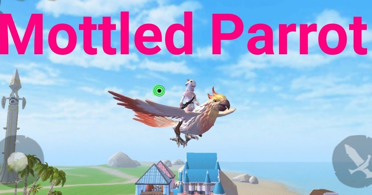 Utopia Origin Cara Taming Mottled Parrot