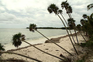 México, qué padre!! - Blogs de Mexico - Sian Ka\'an (1)