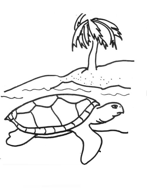yertle the turtle coloring pages - photo #42