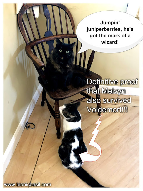 Definitive proof that Melvyn also survived Voldemort @BionicBasil® 8 Things About....