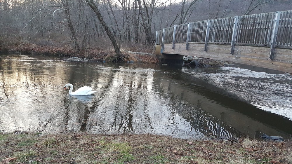 Harriman Hiker Harriman State Park and Beyond Lake Henry Sunset Hike