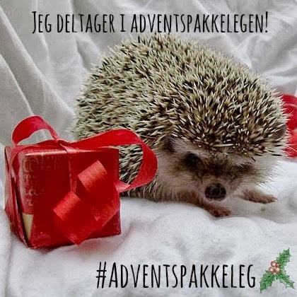 Adventspakkeleg