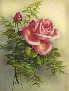 Pink Roses are my favorite
