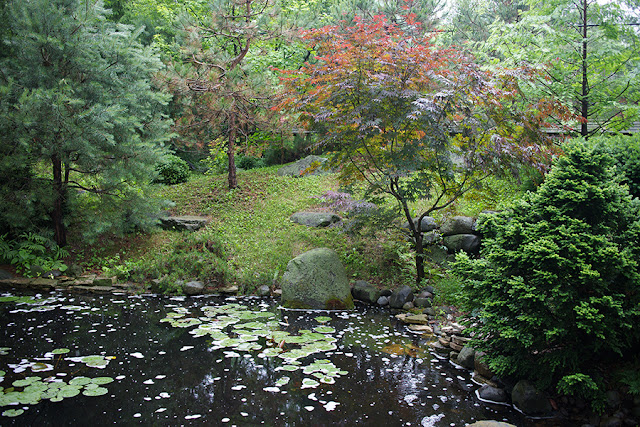 idyllic back yard pond