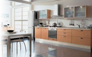 2011 Modern Kitchens Cabinets