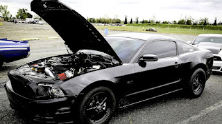 How Much Horsepower Does A 2013 Mustang Gt Have - Horse Choices