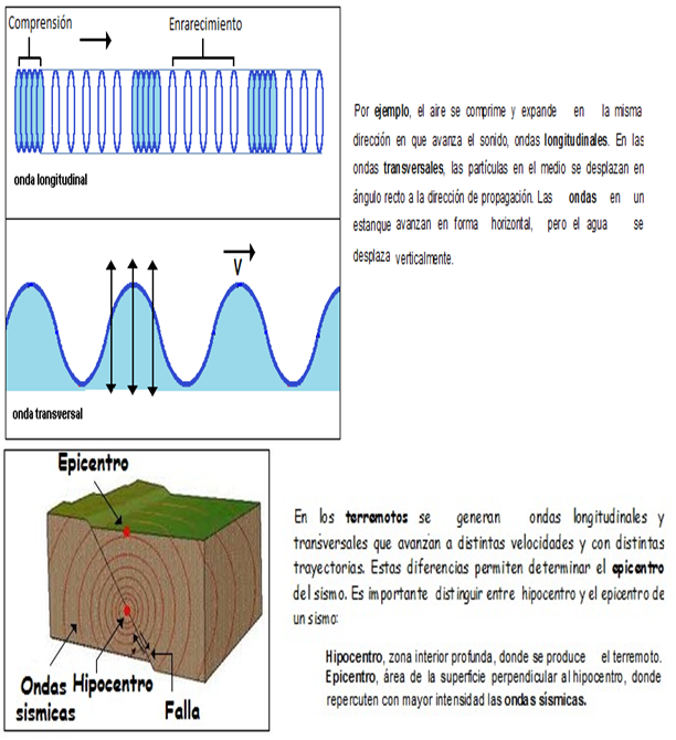 Movimiento ondulatorio Movimiento ondulatorio