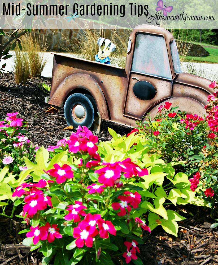 Mid-Summer Gardening Practices - At Home with Jemma