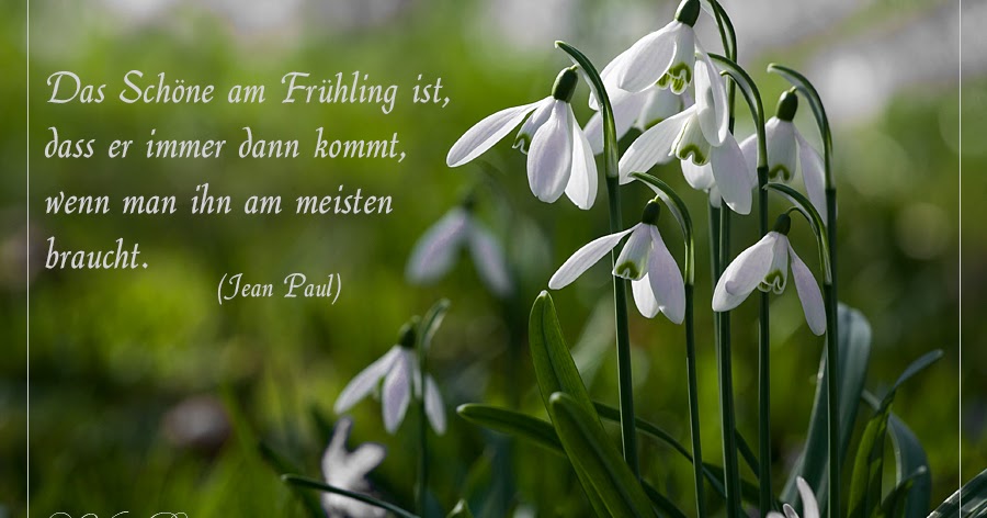 Download Schoener spruch fruehling For Free