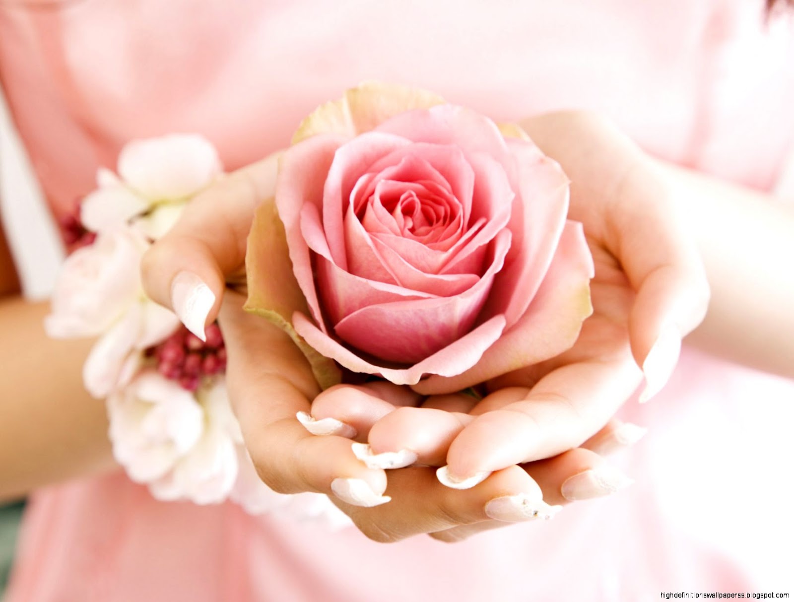 Tropical Flowers Wallpaper Trendy Tropical Flowers Wallpaper Trendy
