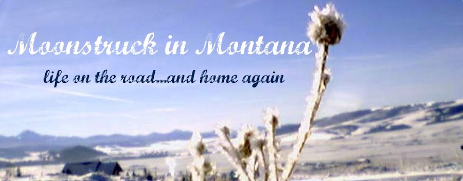 Moonstruck in Montana