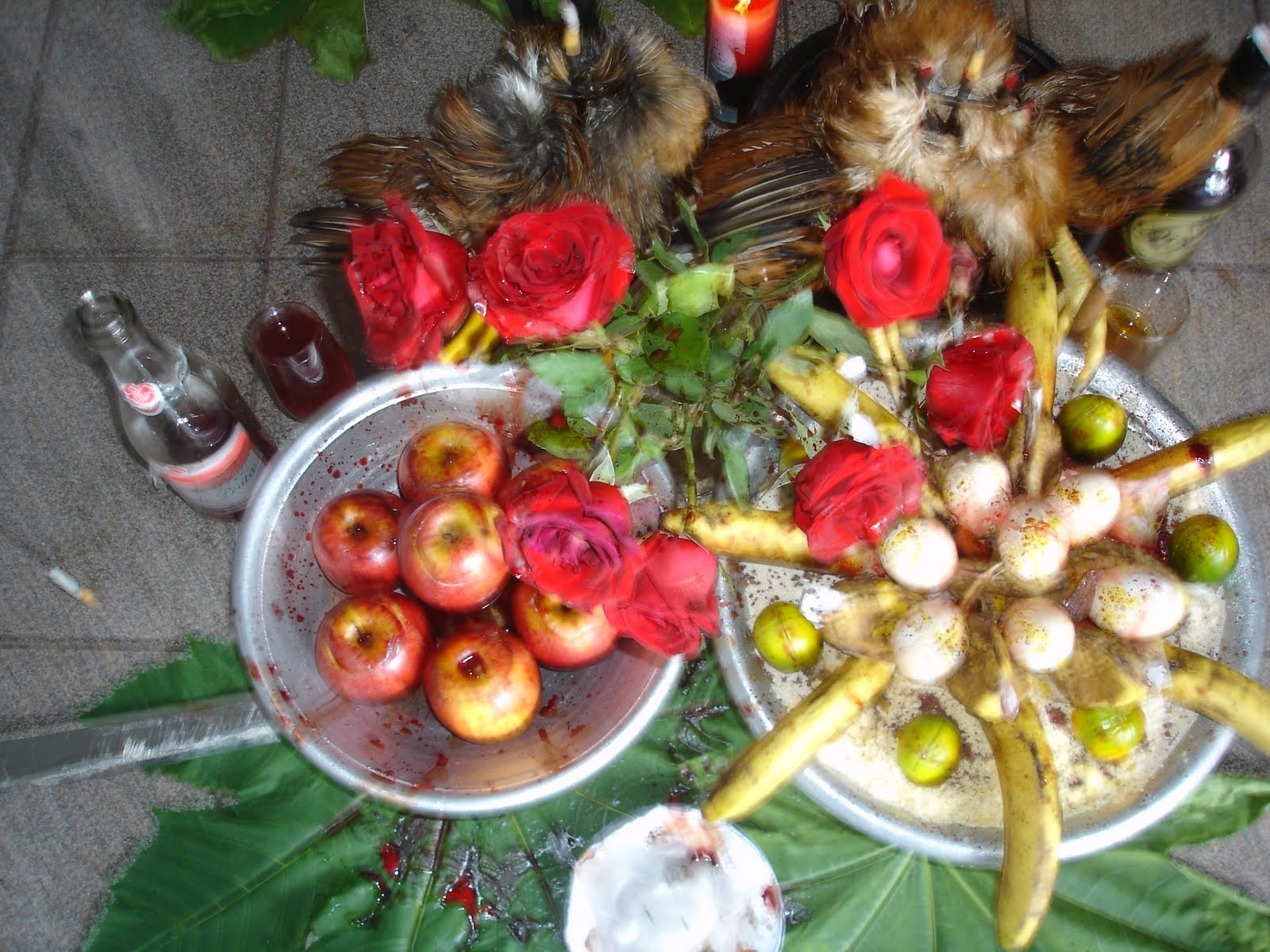 Trancarua de Embaré Oferenda ao Rei