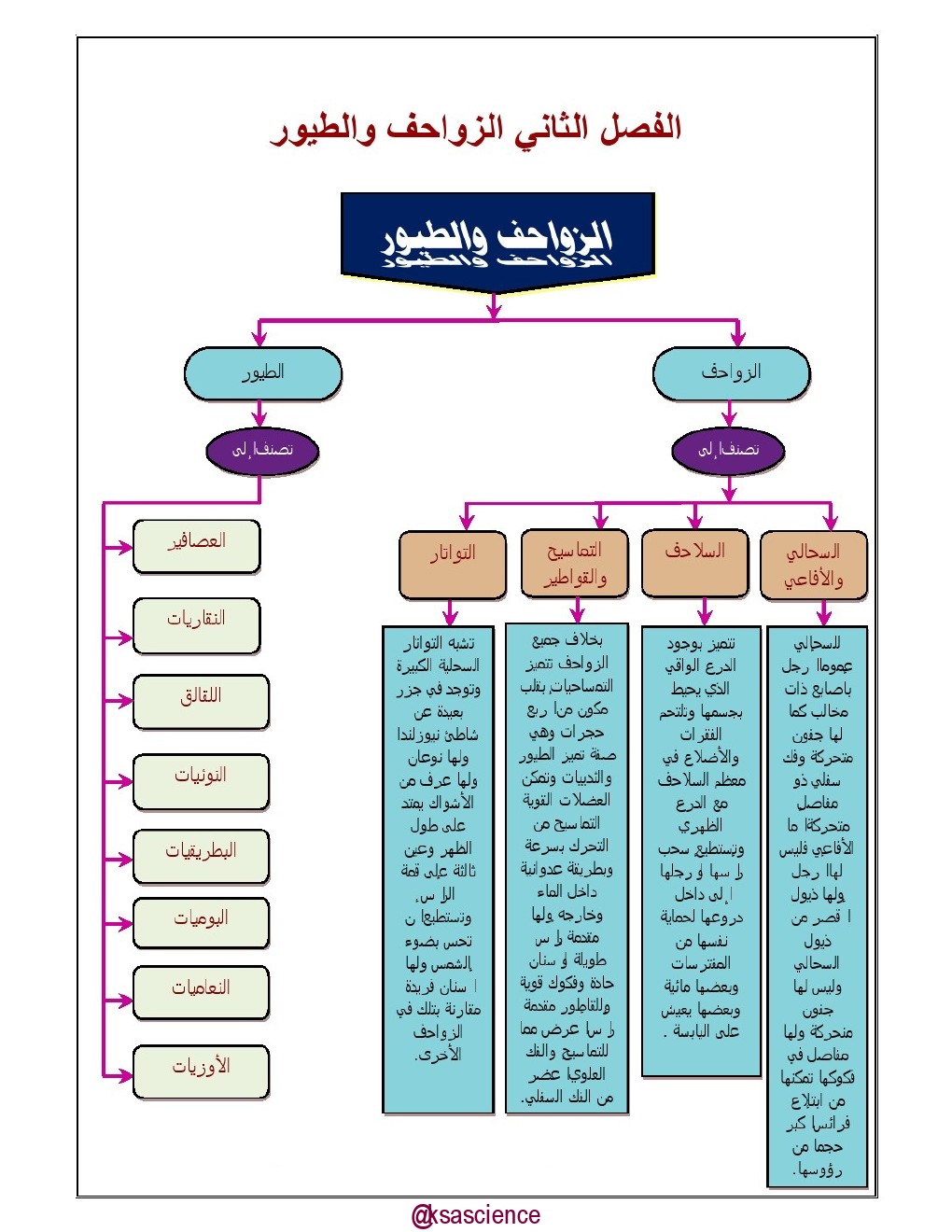 ملخص احياء اول ثانوي مسارات