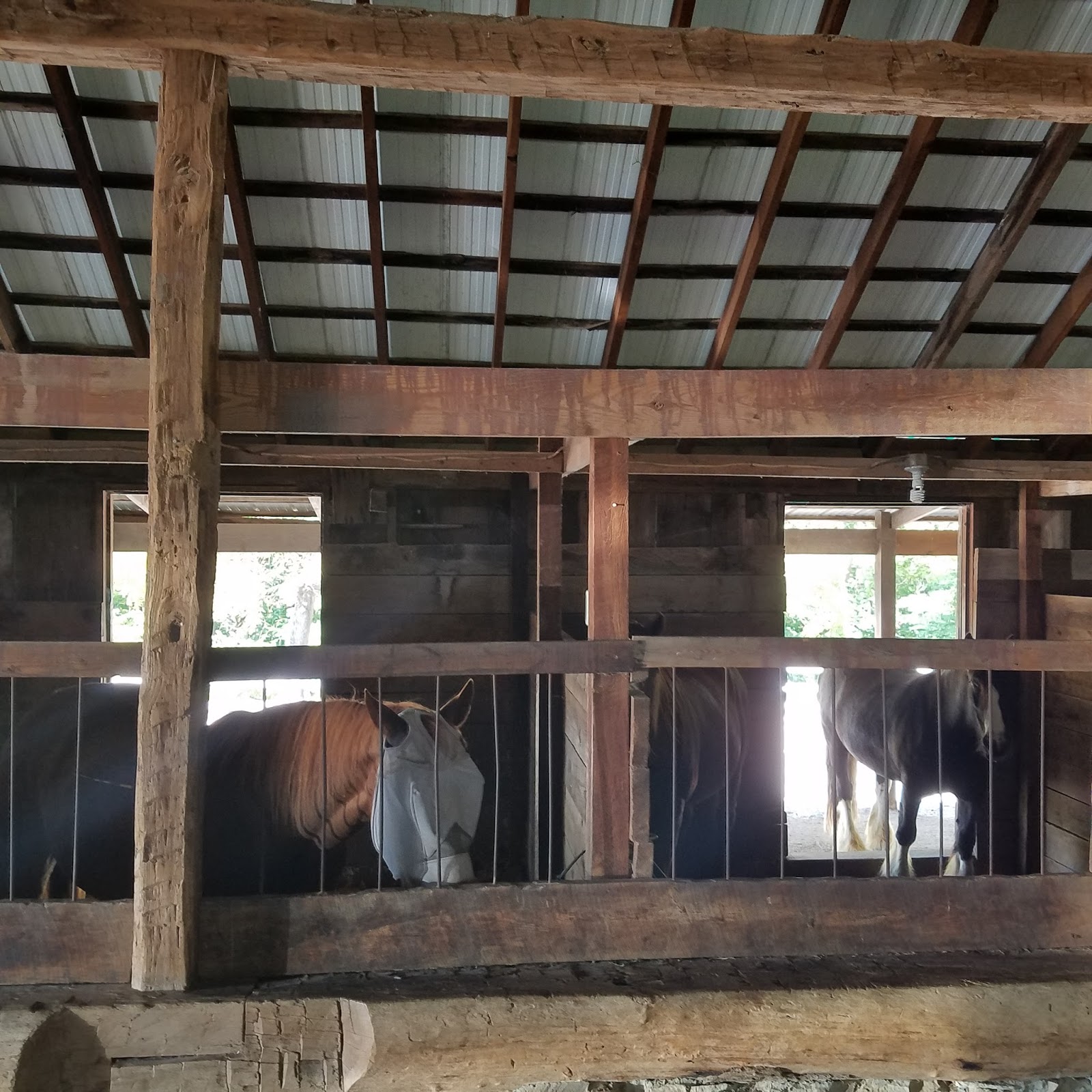 Play St. Louis Longview Farm Park, Town and Country