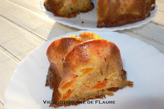 Vie quotidienne de FLaure: gâteau à l'abricot (part)